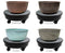 Copper Bowl Color Selection