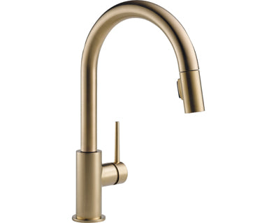 Trinsic pedicure faucet in champagne bronze finish